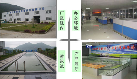 保定用友软件-图片暂时无法打开