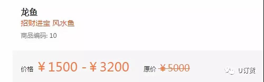 商品详情